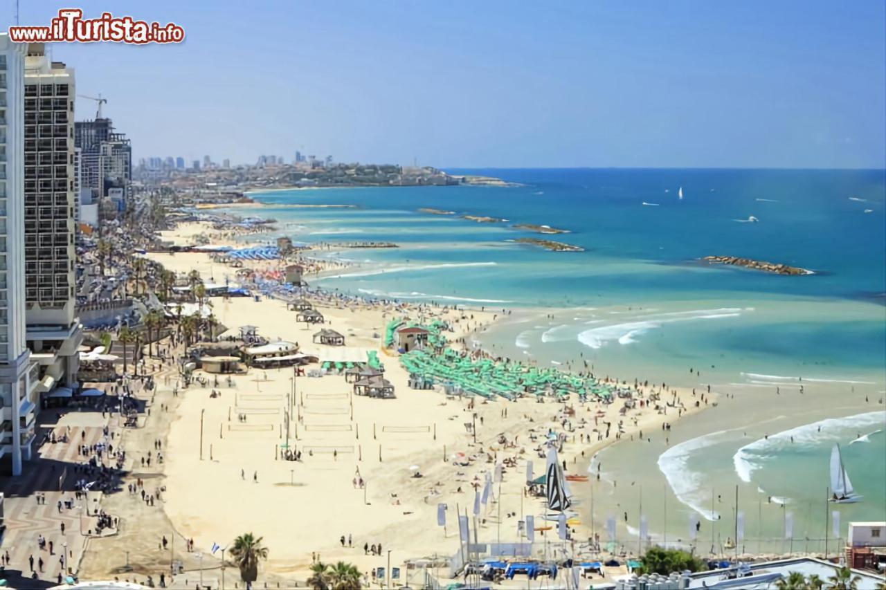 Apt Heart Tlv Arnon 50 Mt From Sea Daire Tel Aviv Dış mekan fotoğraf